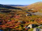 Iceland, colors of fall in Middalur at Steingrimsfjardarheidi during autumn. Art Print